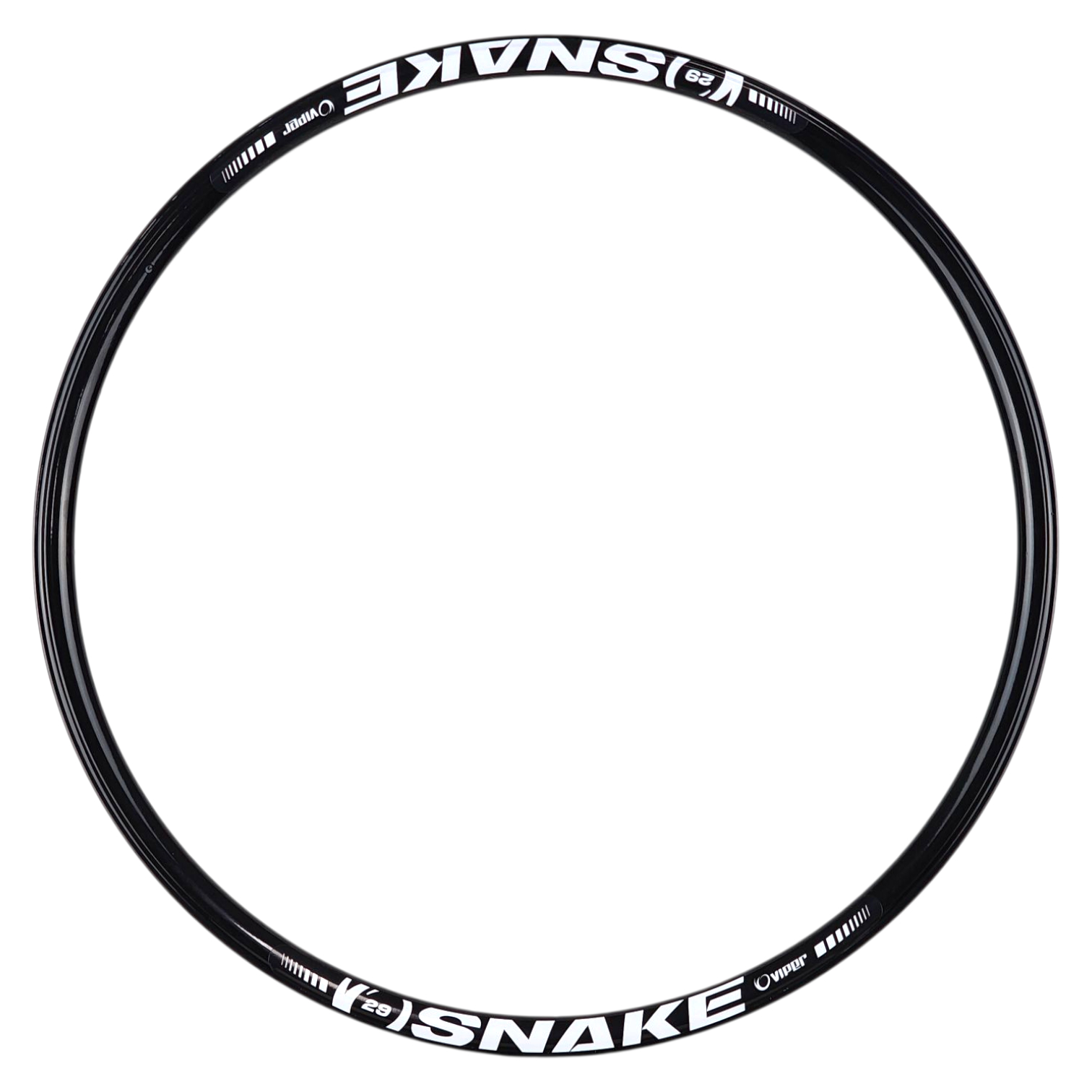 Aro Viper Snake Disc Color Block