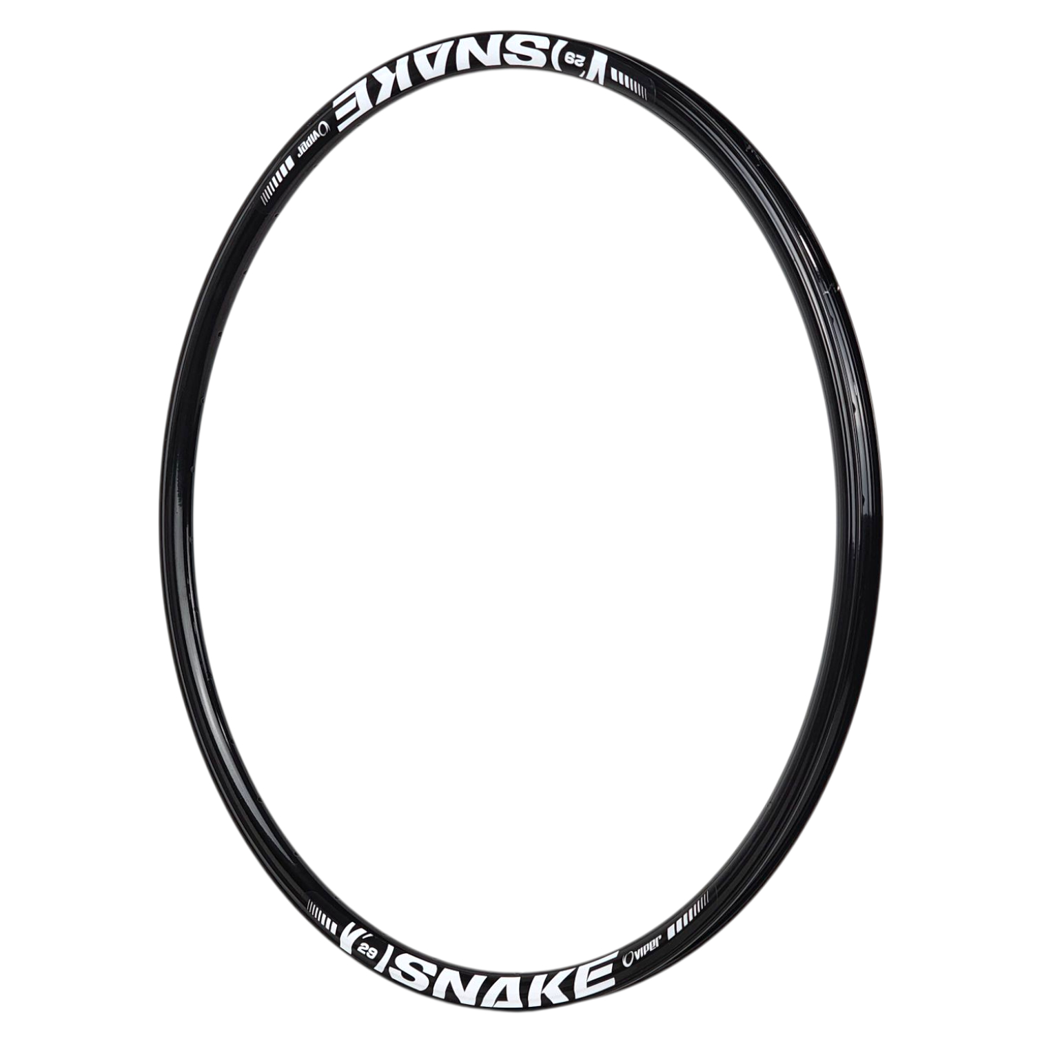 Aro Viper Snake Disc Color Block